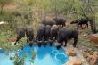 25 Cyferfontein self catering in Mabalingwe Reserve, Bela-Bela