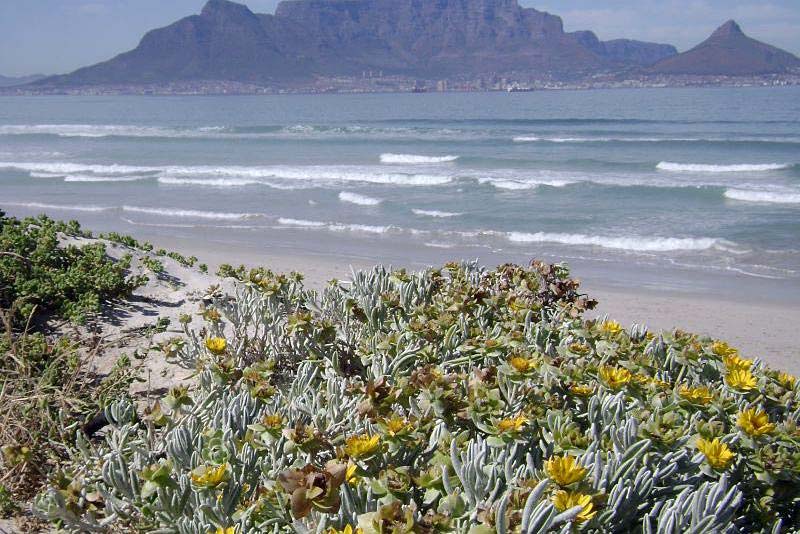 Kite beach, our closest beach, only a few minutes walk away