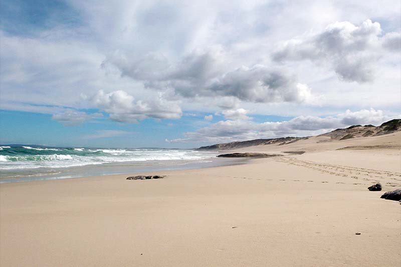 Beach scene