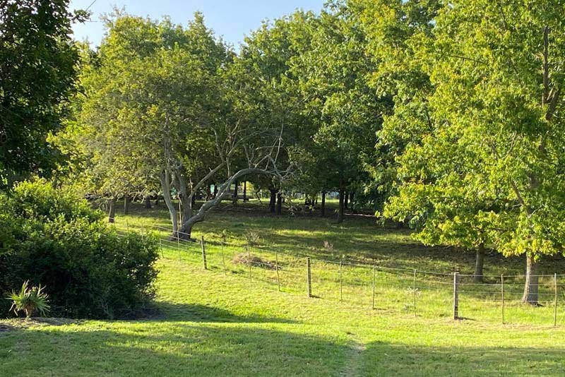 Bella Manga Country Escape - self catering in Plettenberg Bay