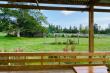 Bella Manga Country Escape - self catering in Plettenberg Bay