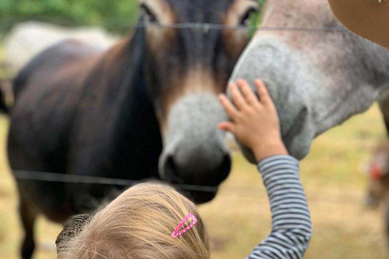 Bella Manga Country Escape - self catering in Plettenberg Bay