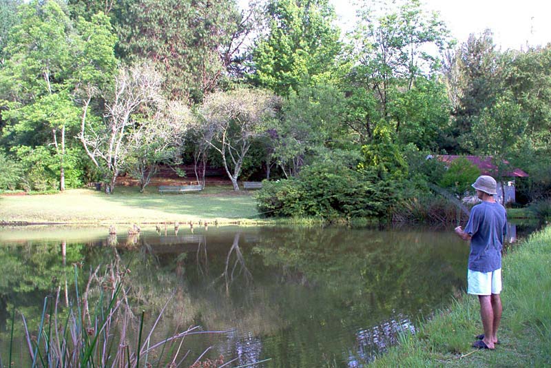 Cheerio Trout Fishing & Holiday Resort in Magoebaskloof