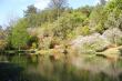 Trout Dam