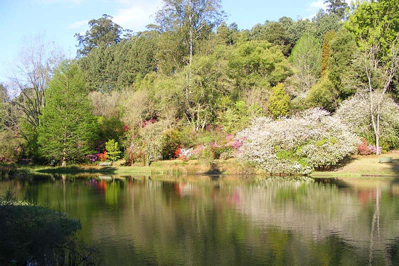 Trout Dam