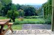 Hedge cottage view