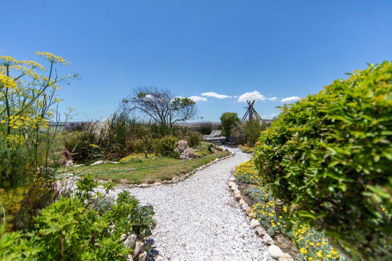 Landscaped garden