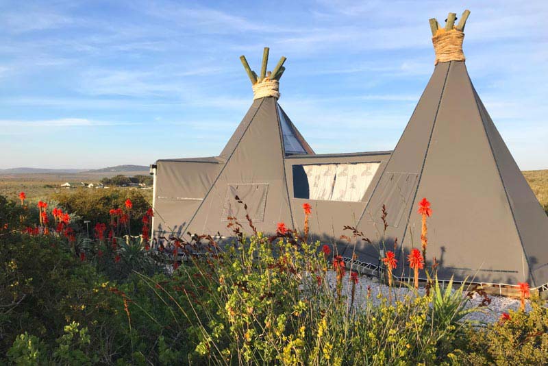 Glamping option Wigwam Rising Moon