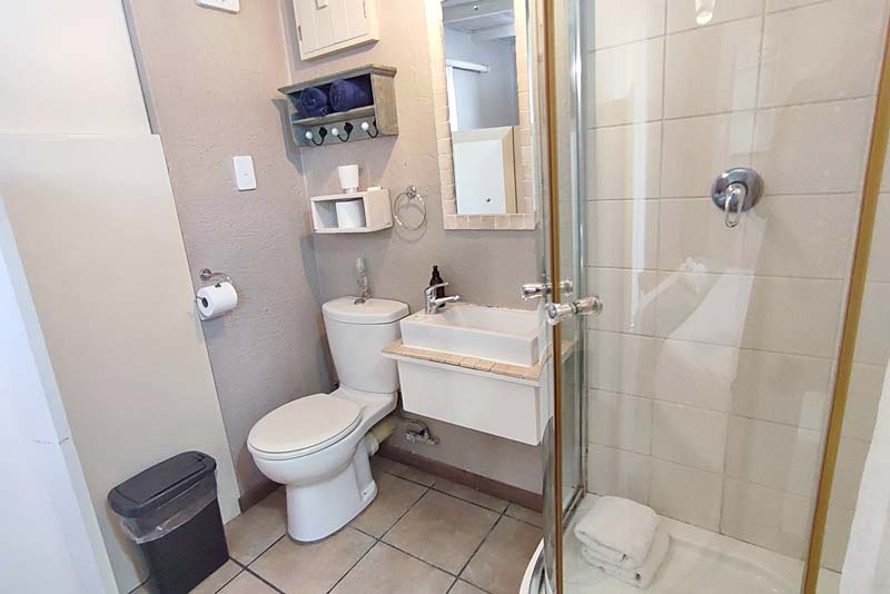Shower and toilet.