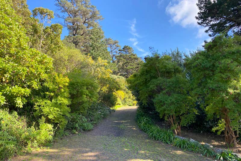 Road on property, up to cottages