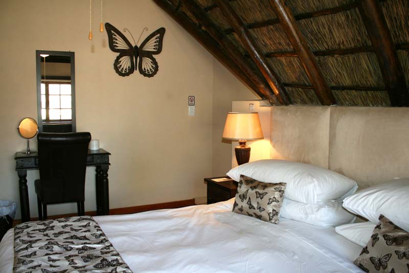 Standard suite 12