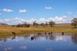 Horses at the dam - Mont Plaisir Self Catering Fouriesburg