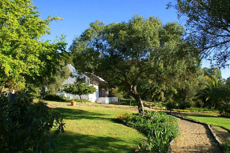 MooiBly self catering thatched cottages in Paarl