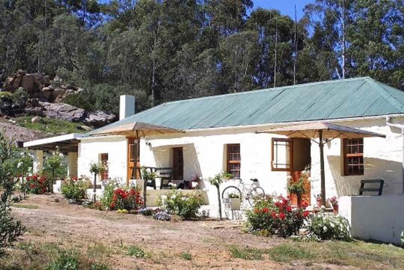 House of Grace- Herold, Klein Karoo