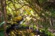 Hiking trails offer hidden pools and tranquil coves