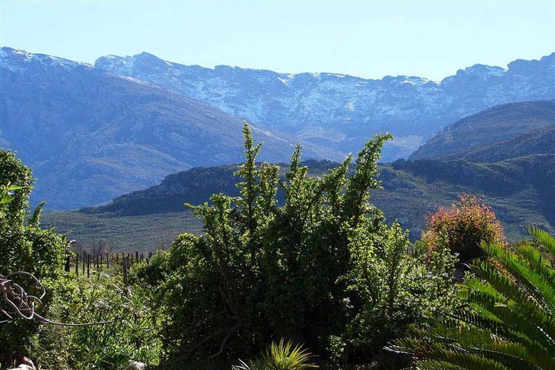 Back of House - Patryskloof Guest Farm self catering Worcester