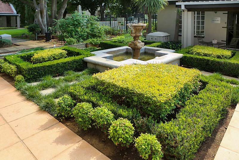 Some of our lovely garden