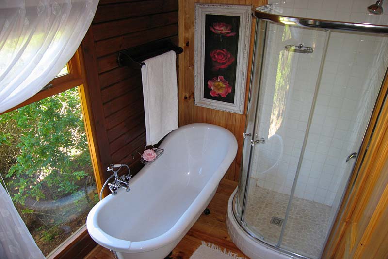 main suite bathroom