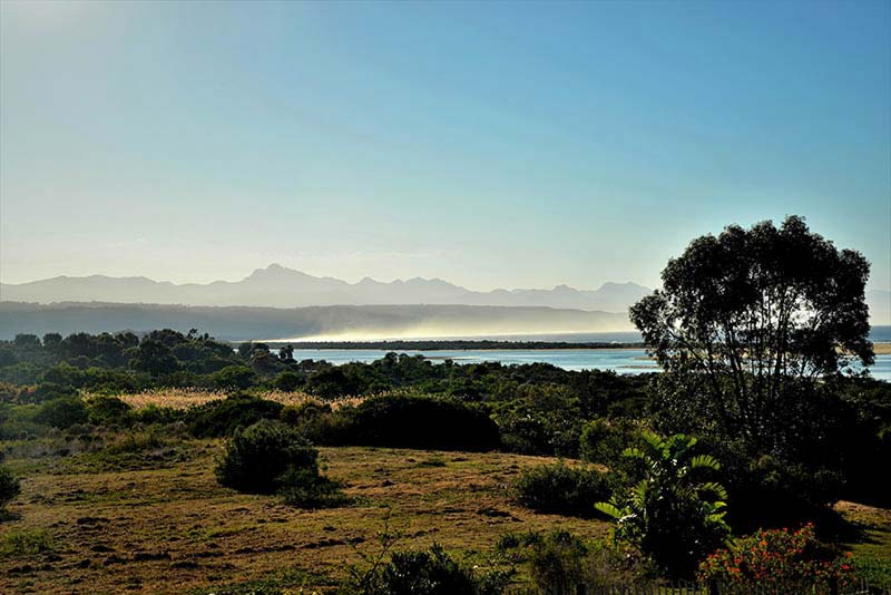 View from Breakfast Area