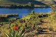 Tides River Lodge - self catering in Malgas, on the banks of the Breede River