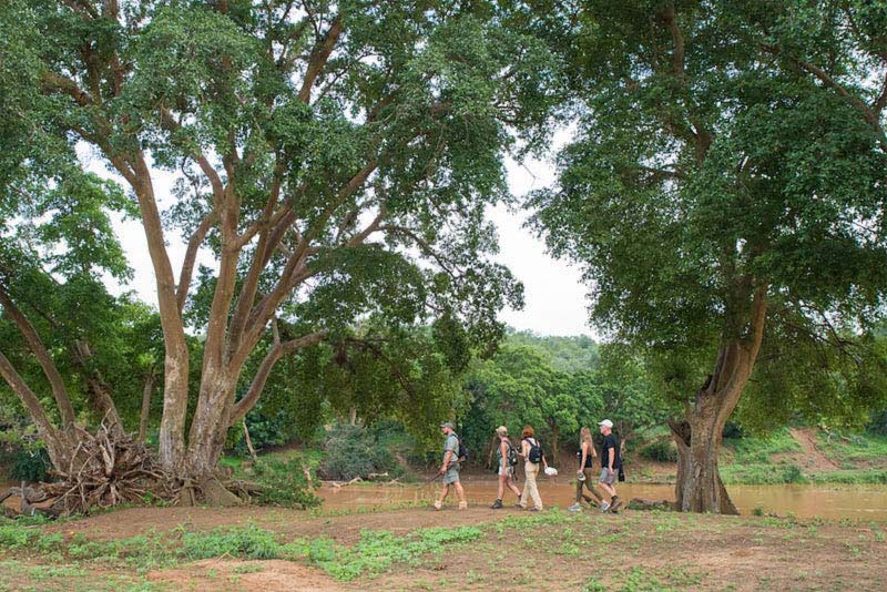 Bush walk along the Olifants River