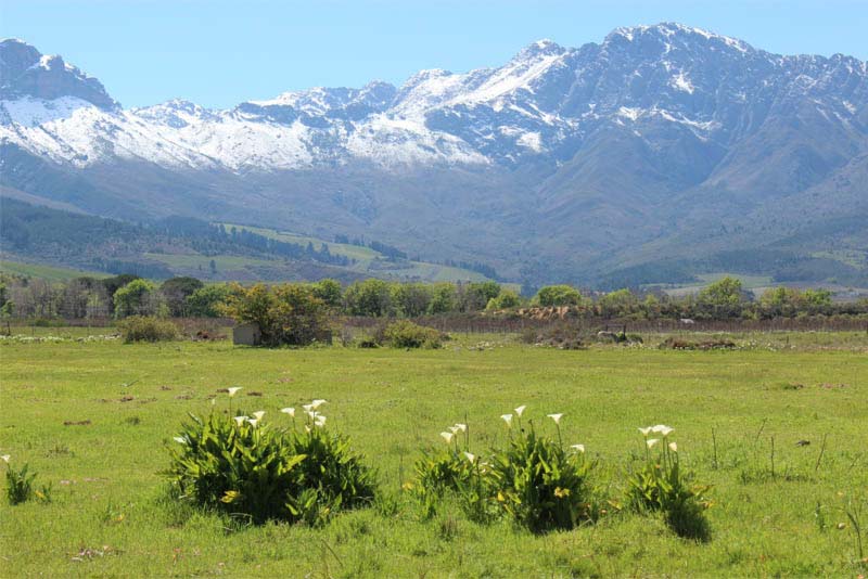 Welbedacht - Views to Winterhoek Mountains