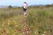 Welbedacht Game & Nature Reserve - Spring Flowers, Walking Tracks & Trails