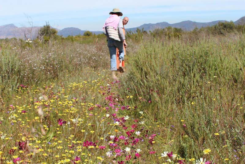 Welbedacht Game & Nature Reserve - Spring Flowers, Walking Tracks & Trails