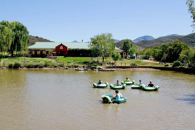 Rowing boats - Wilgewandel Holiday Farm Oudtshoorn