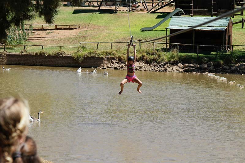 ZIPLINE