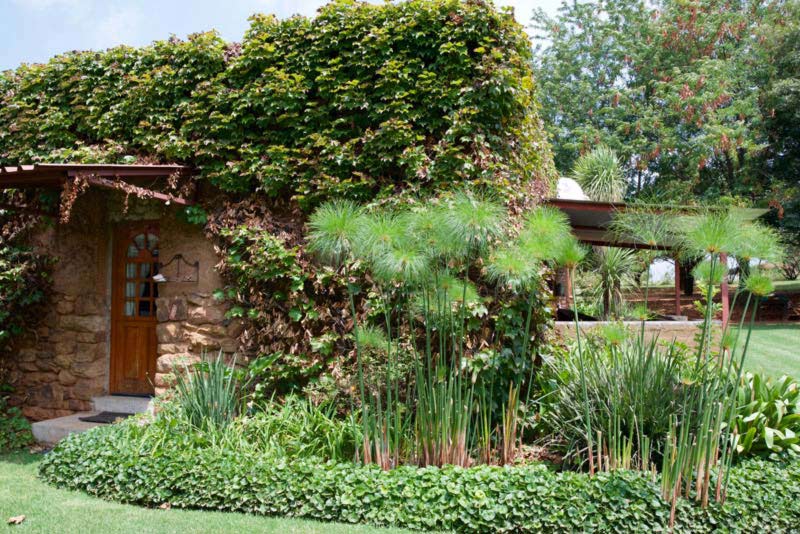 Garden - Mooi Begin Guest Farm self catering Heidelberg, Gauteng