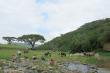views from our main adventure horse trail, the Lost Valley