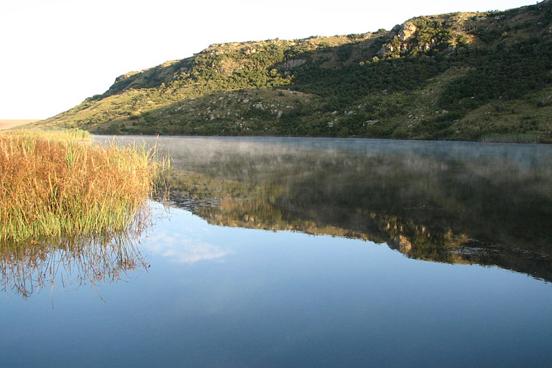 mirror view