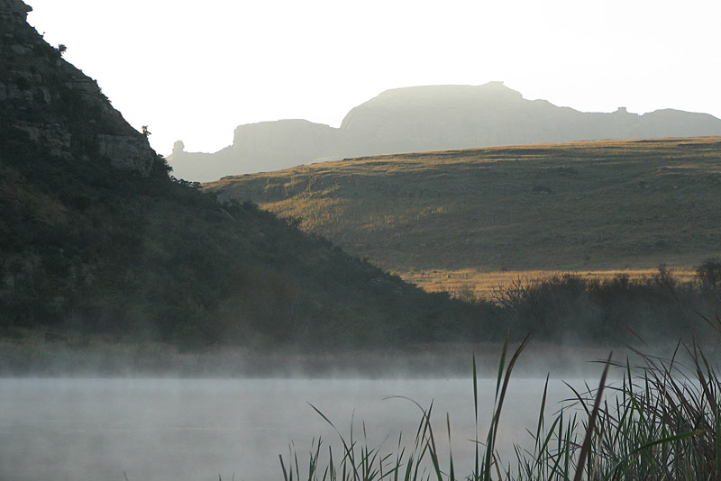 early morning in late summer 