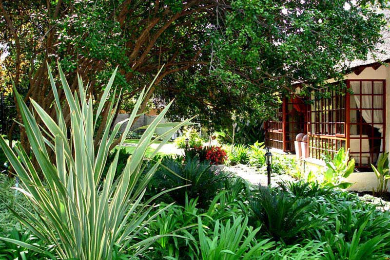 De Witt'e Gastehuis - Bed & Breakfast accommodation in Bloemfontein