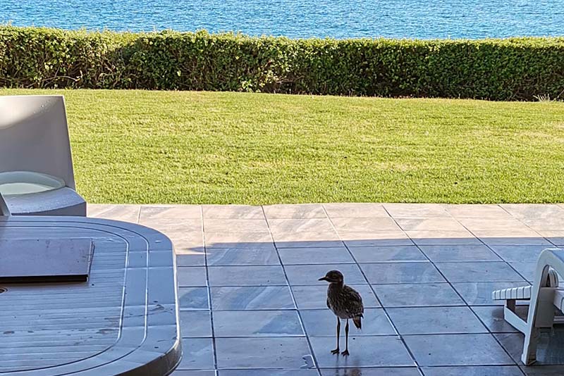 View from the apartment of the ocean