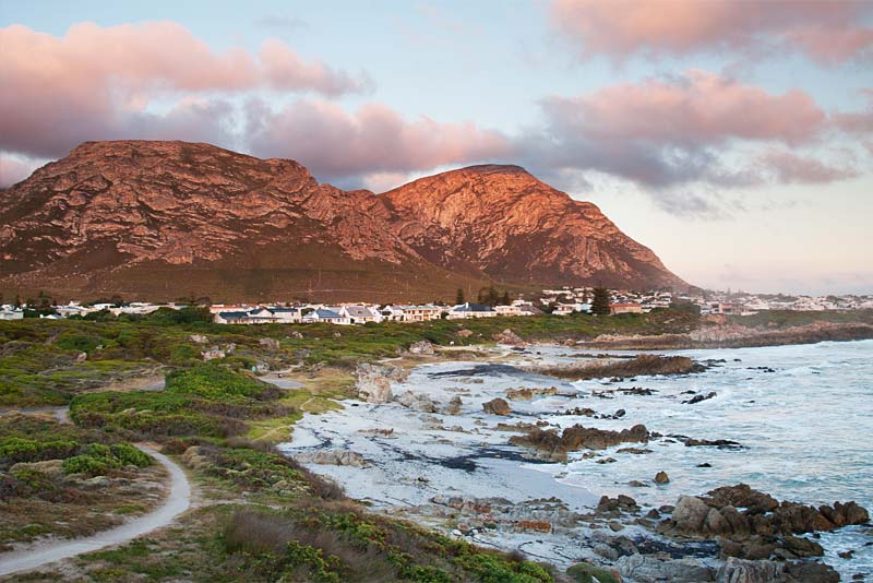 View from Hermanus famous cliff trail