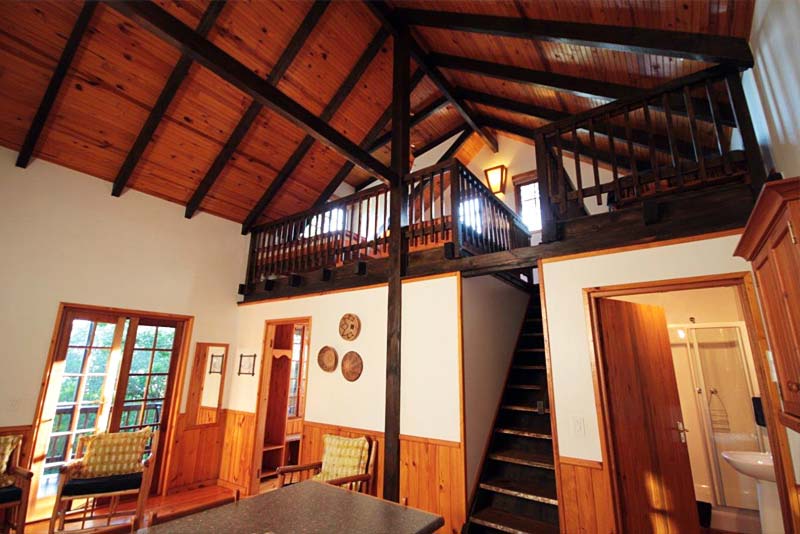 Tree Frog Forest Cabin - interior