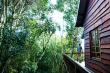 Tree Frog Forest Cabin