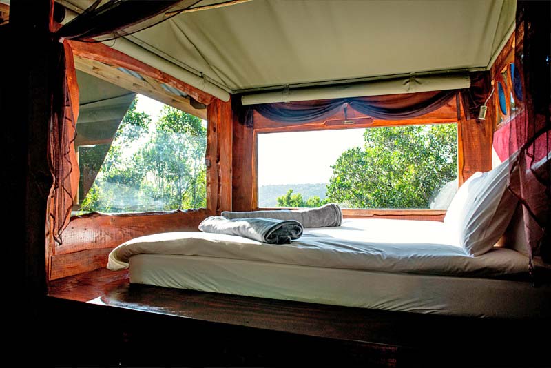 Fly Me to the Moon Forest Cabin