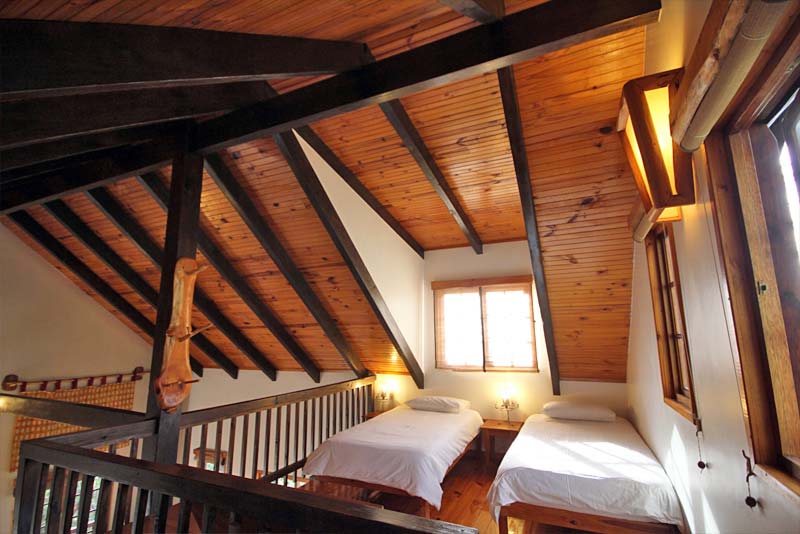 Tree Frog Forest Cabin
