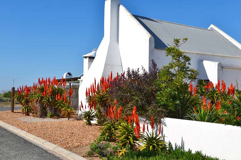 Aloe Halt - self catering in Paternoster