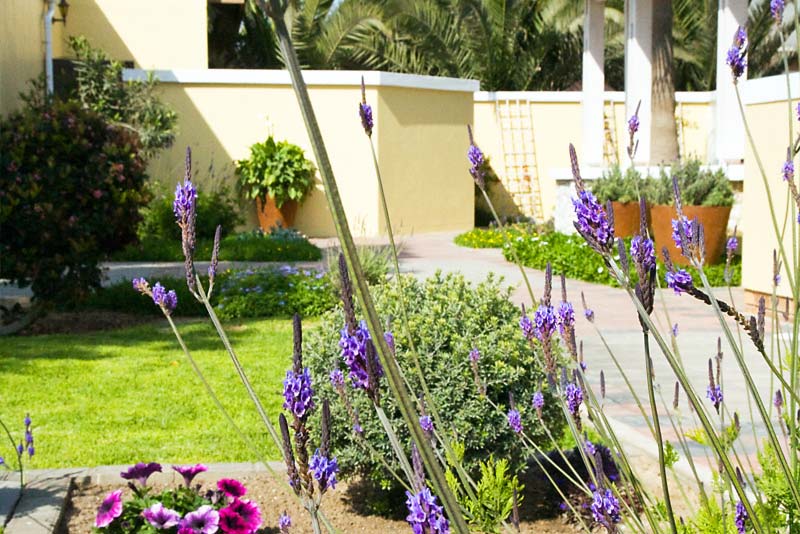 Garden - Cornerstone Guesthouse, Swakopmund