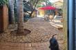 Outlook over the beautiful garden