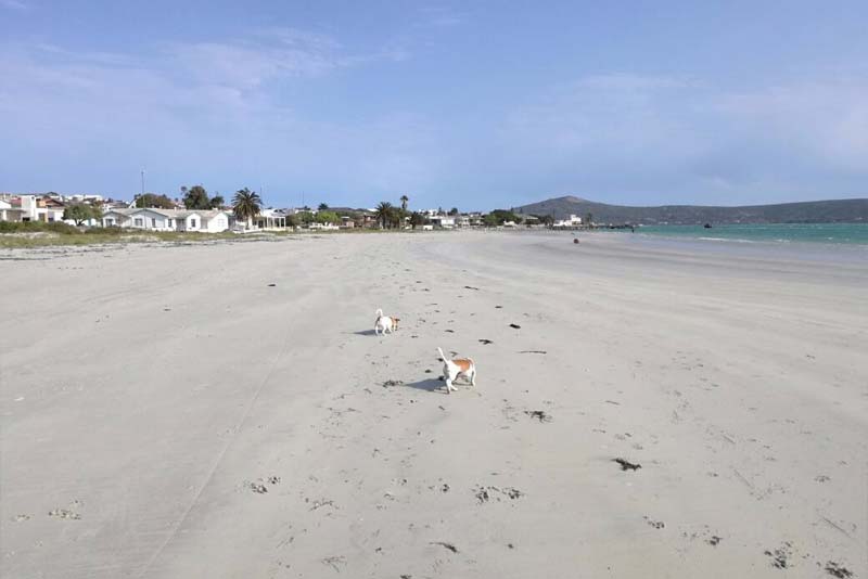 MAIN BEACH Langebaan 