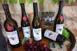 Mile High Vineyards Wines available.