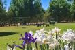 Gardens - Sunset Chalets Colesberg