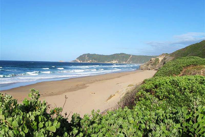 View from whale watching platform (150m)