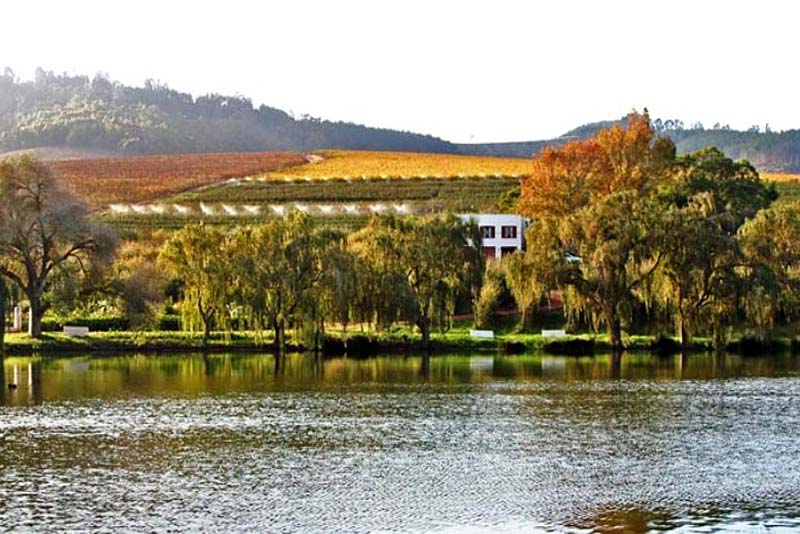 Aan-den-Weg self catering and bed and breakfast in Stellenbosch, Cape Winelands