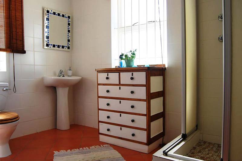 Bottom bathroom with shower (bottom floor). 